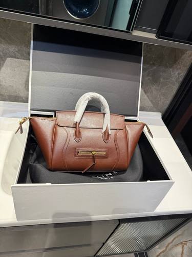 Celine Handbag 027