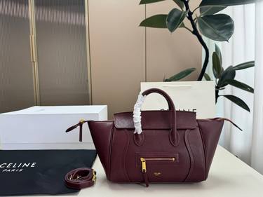 Celine Handbag 046
