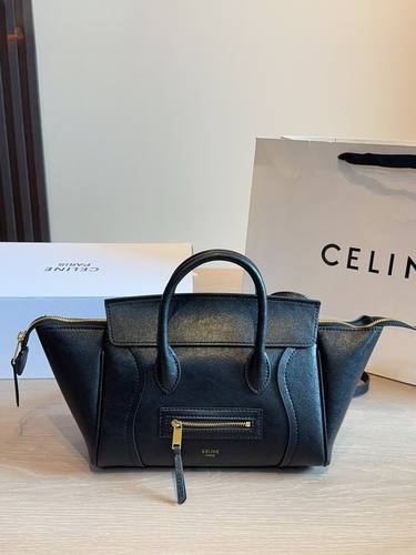 Celine Handbag 074