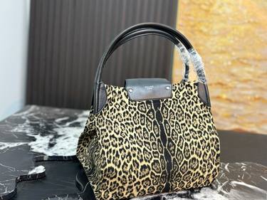 Celine Handbag 093