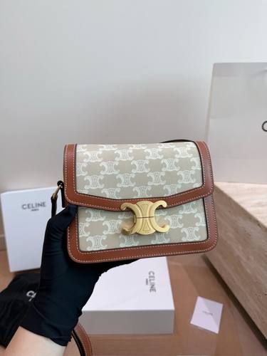Celine Handbag 106