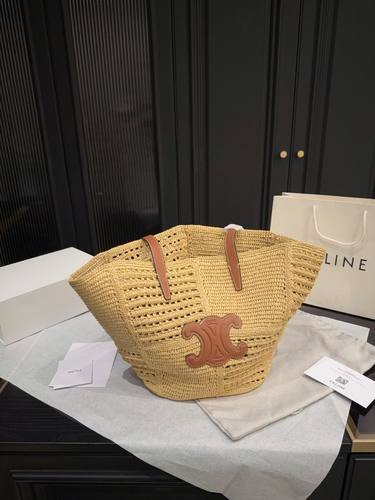 Celine Handbag 117