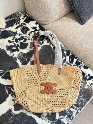 Celine Handbag 118