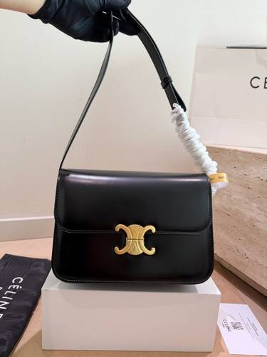 Celine Handbag 166