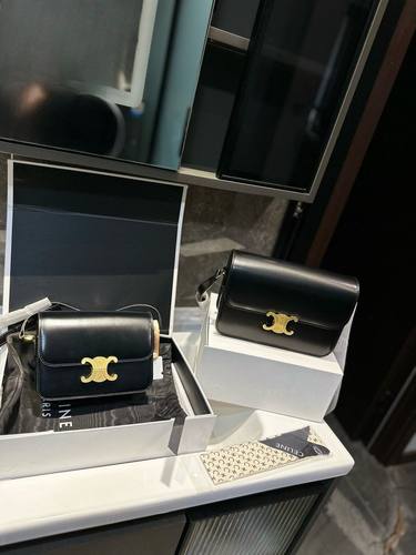 Celine Handbag 171