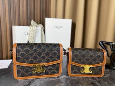 Celine Handbag 173