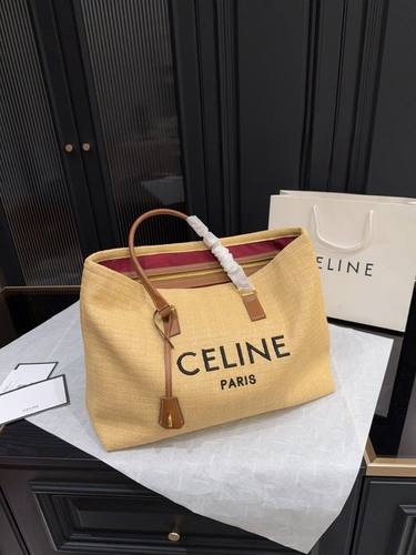 Celine Handbag 182