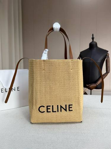 Celine Handbag 188