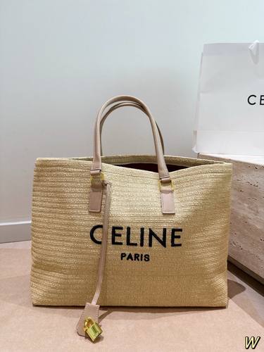 Celine Handbag 214