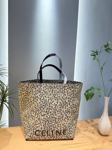 Celine Handbag 240