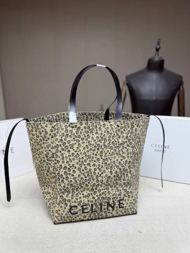 Celine Handbag 248