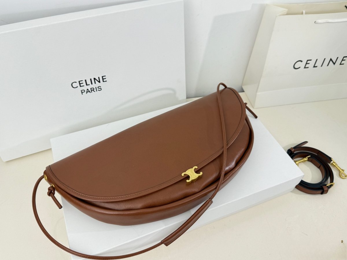 Celine Handbag 250