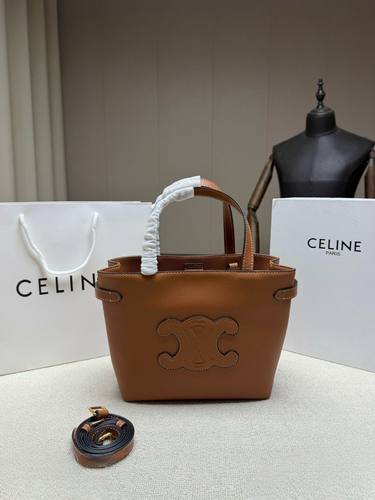 Celine Handbag 258