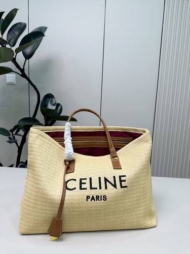 Celine Handbag 261
