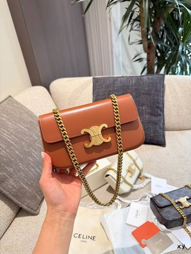 Celine Handbag 270