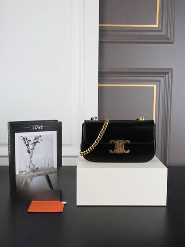 Celine Handbag 276