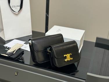Celine Handbag 296