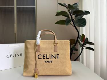 Celine Handbag 298