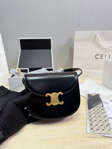 Celine Handbag 313