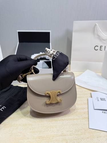 Celine Handbag 316