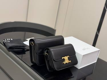 Celine Handbag 321