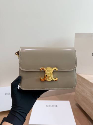 Celine Handbag 347