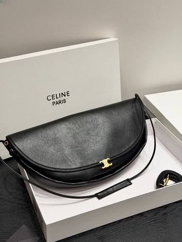 Celine Handbag 373