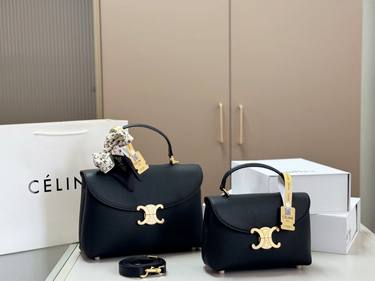 Celine Handbag 382