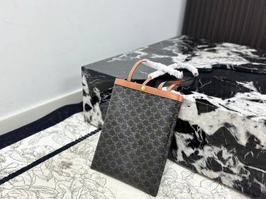 Celine Handbag 436