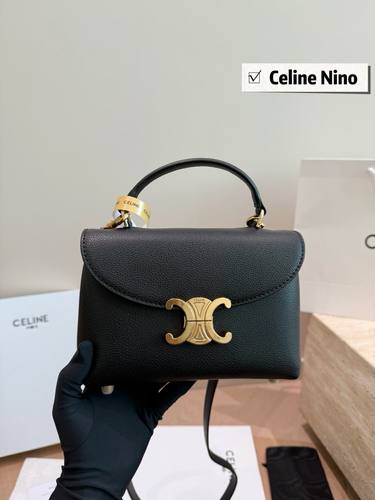 Celine Handbag 454