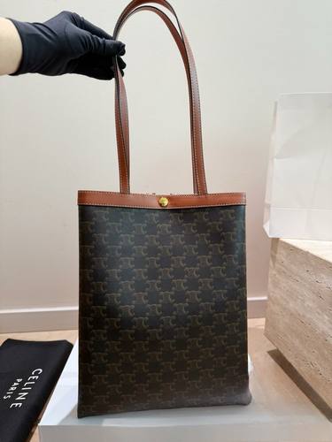 Celine Handbag 457