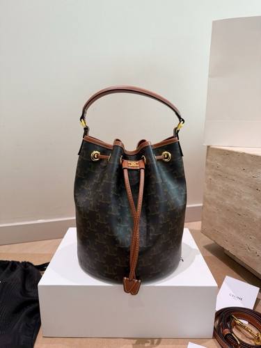 Celine Handbag 469