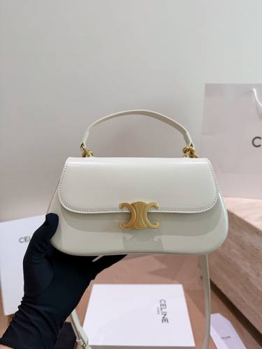 Celine Handbag 479