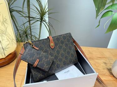 Celine Handbag 485