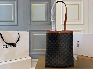 Celine Handbag 490