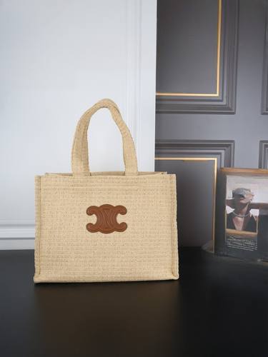Celine Handbag 492