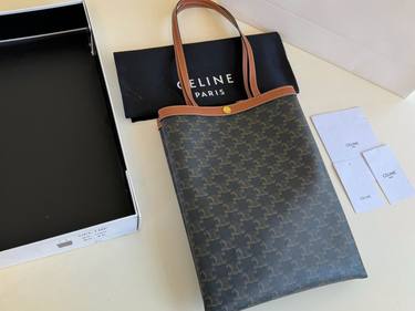 Celine Handbag 493
