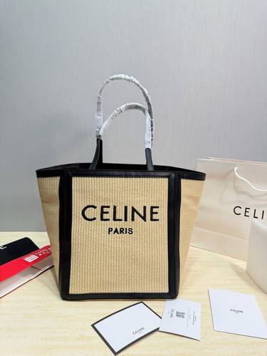 Celine Handbag 508