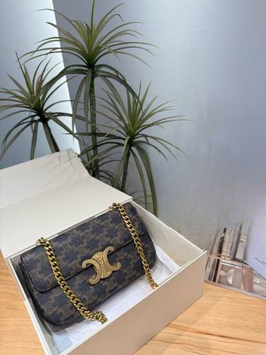 Celine Handbag 528