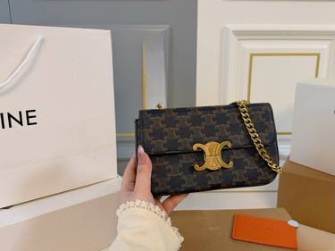 Celine Handbag 572