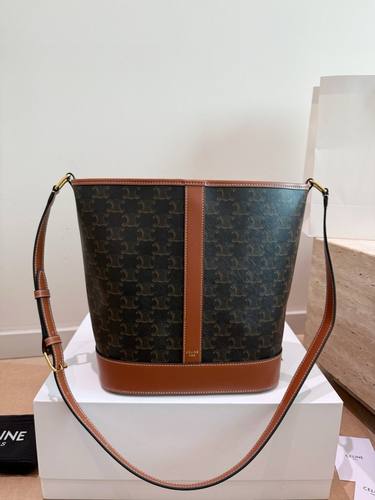Celine Handbag 642