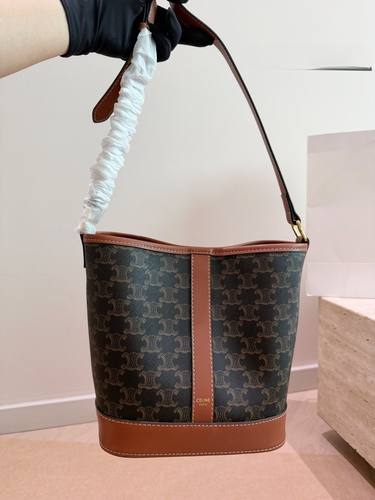 Celine Handbag 672