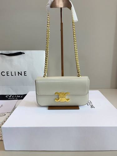 Celine Handbag 676