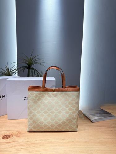 Celine Handbag 752