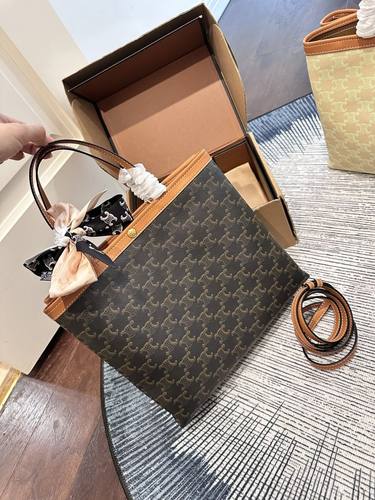 Celine Handbag 759