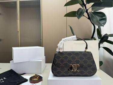 Celine Handbag 768