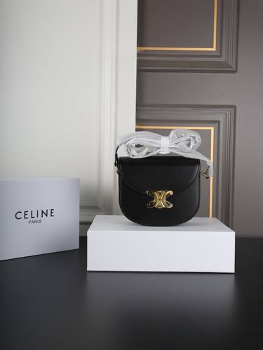 Celine Handbag 794