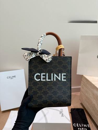 Celine Handbag 798