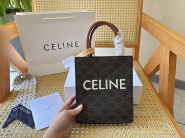 Celine Handbag 803