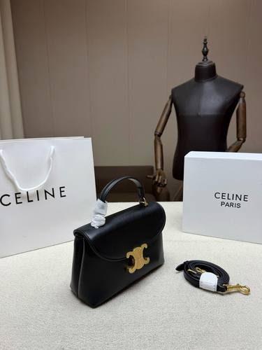Celine Handbag 809